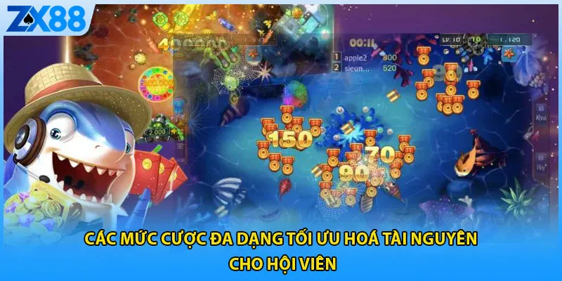 Các mức cược đa dạng tối ưu hoá tài nguyên cho hội viên